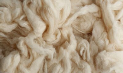 lana bianca