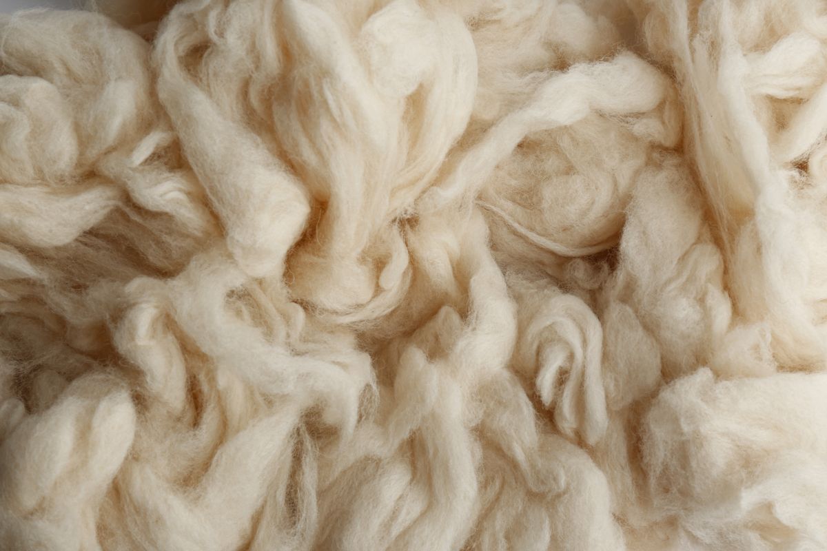 lana bianca