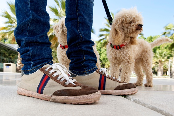 Jeans scarpe sportive