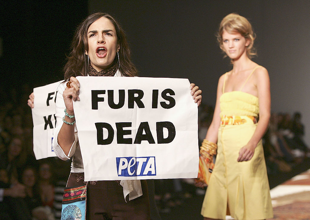 New York valuta il divieto di vendita delle pellicce