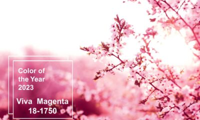 pantone viva magenta