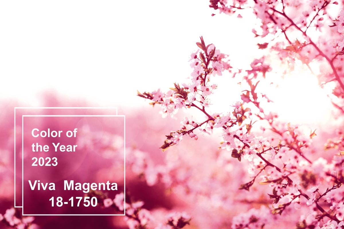 pantone viva magenta