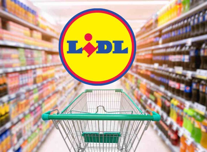 Lidl, tutti i prodotti a meno di 5 euro
