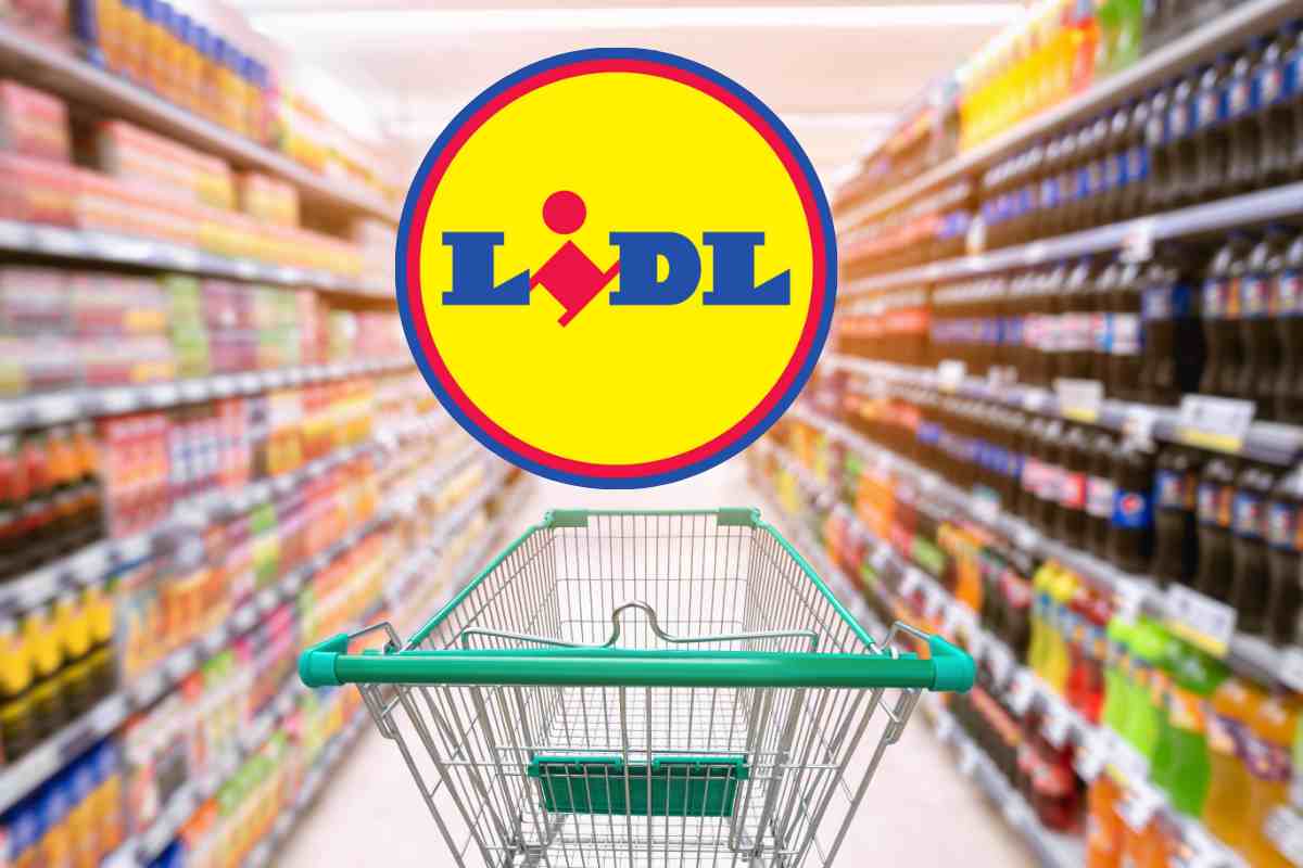 Lidl, tutti i prodotti a meno di 5 euro