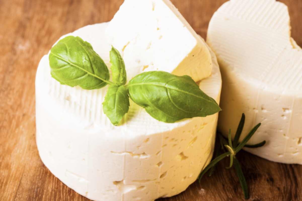 La questione del lattosio è fondamentale, soprattutto considerando che l'intolleranza al lattosio è una condizione che colpisce una buona parte della popolazione.