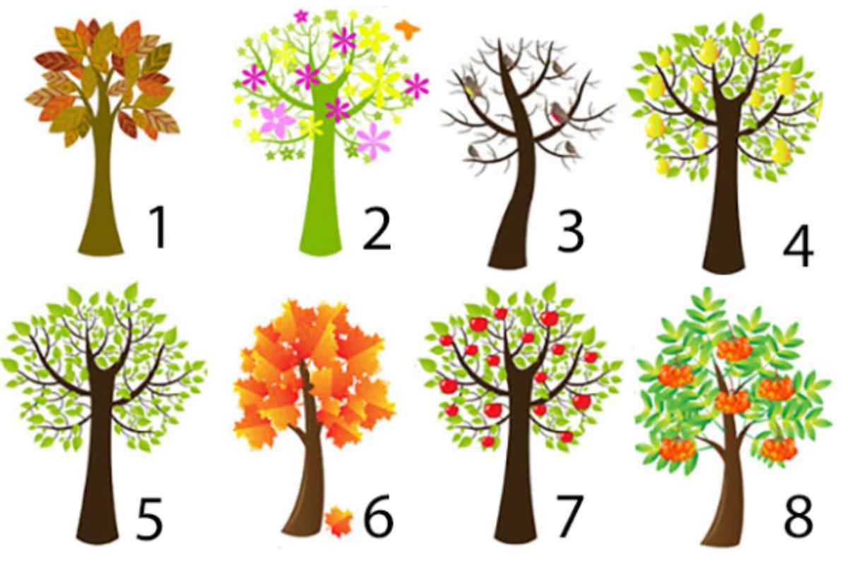 Test Psicologico