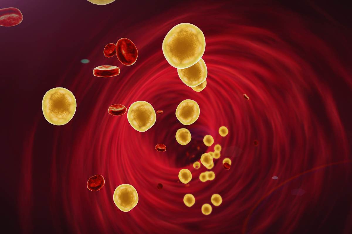 Se lo fai tutti i giorni addio colesterolo: di cosa si tratta