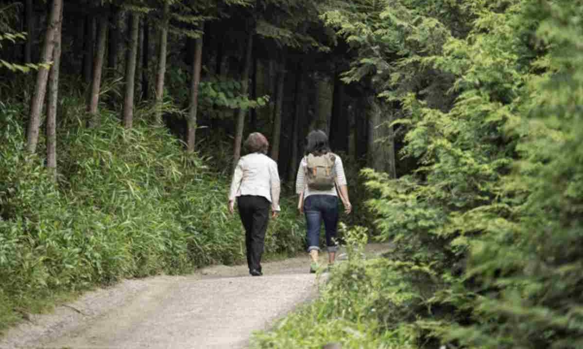 Diverse tipologie di camminata giapponese sono praticate con obiettivi specifici che spaziano dal miglioramento della salute