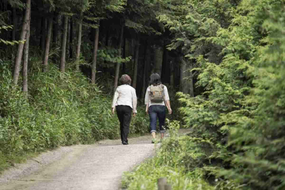 Diverse tipologie di camminata giapponese sono praticate con obiettivi specifici che spaziano dal miglioramento della salute