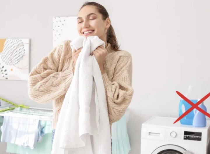 Se desideri un'alternativa più naturale e personalizzabile, sei nel posto giusto. Preparare un ammorbidente fatto in casa