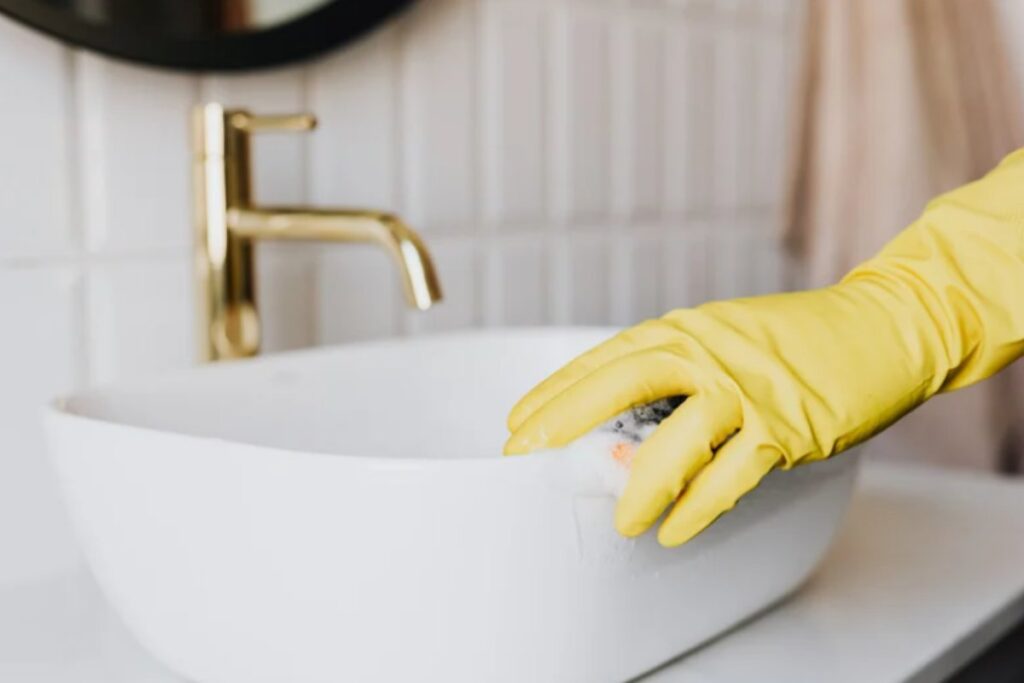 Insetti nel bagno