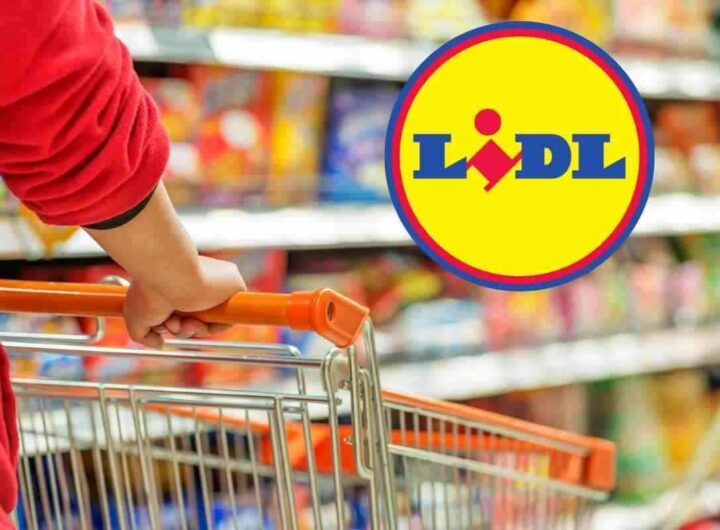 È l'oggetto più utile e ricercato per l'estate: grande regalo di Lidl