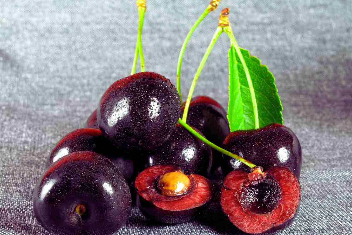 Altro che integratori, questo superfood è l’elisir dei campioni sportivi