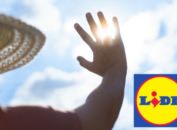 caldo lidl