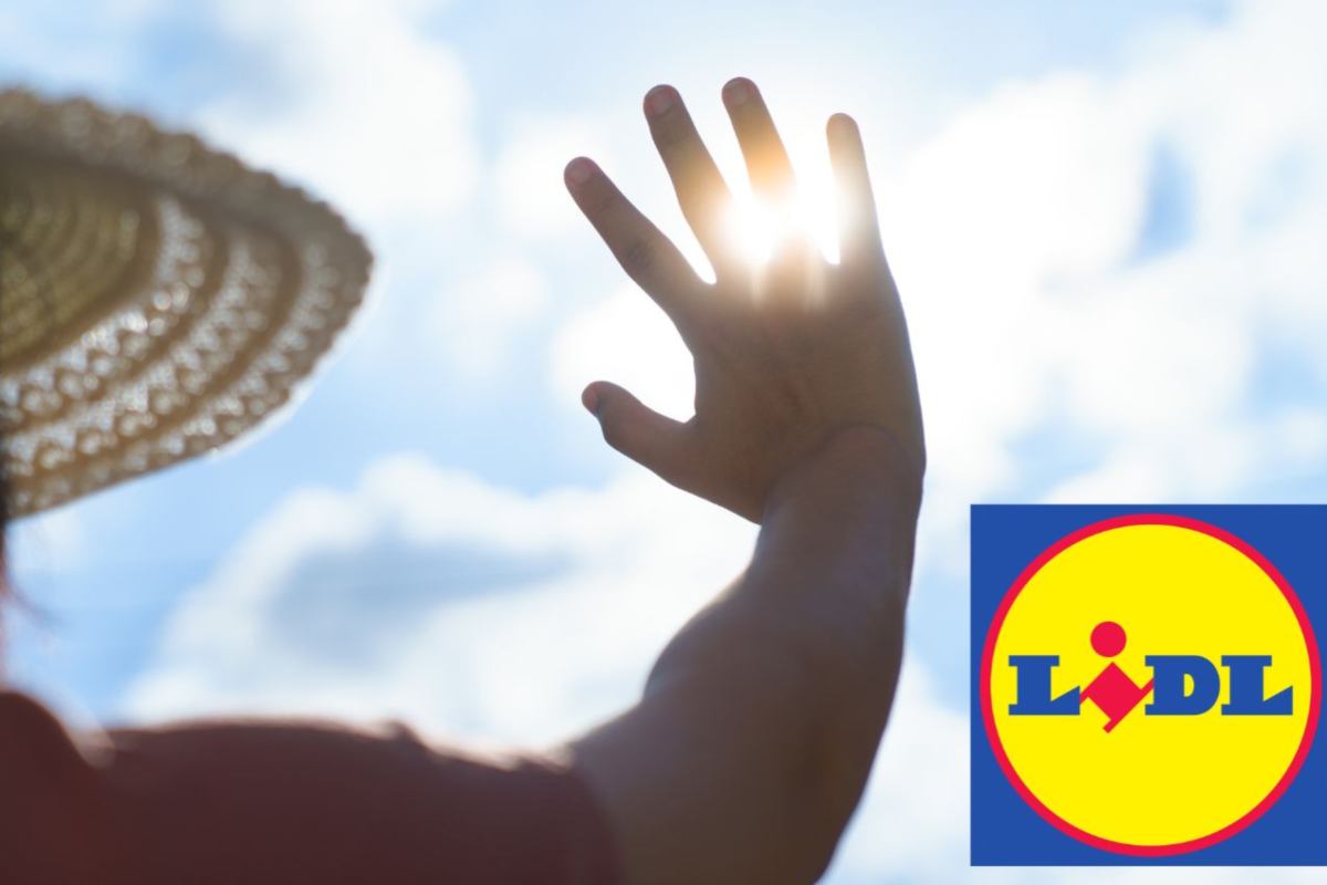 caldo lidl