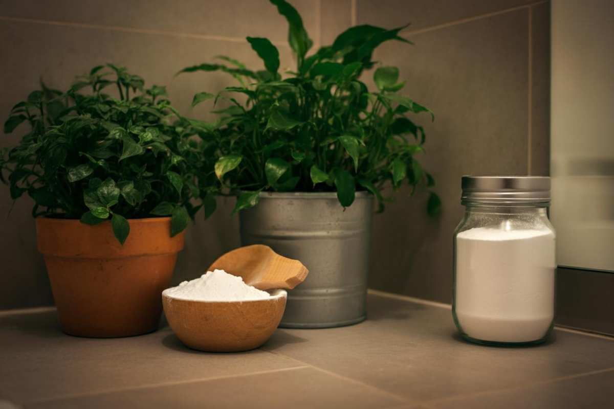 Il metodo geniale per eliminare la puzza dal bagno