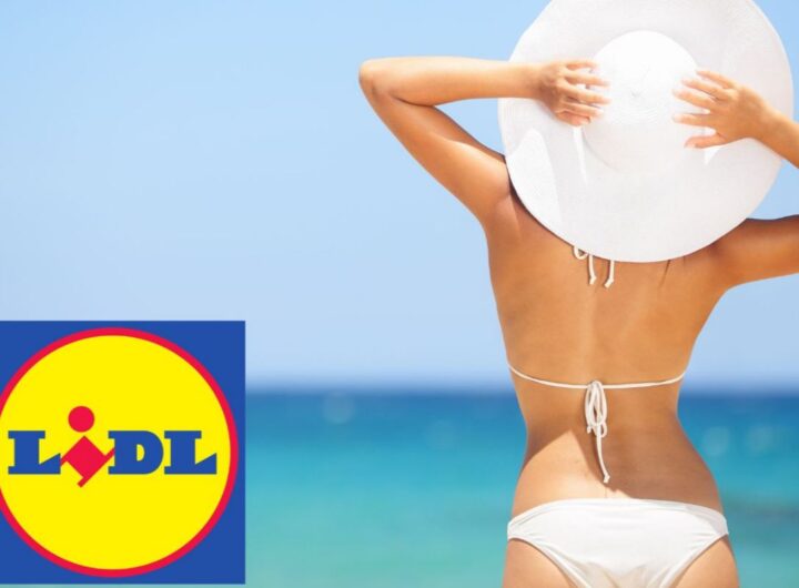 estate lidl