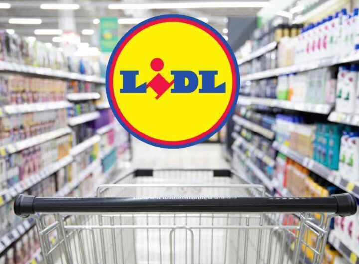 Lidl esaudisce i tuoi desideri: ora hai tutto il fresco che vuoi a soli 14 euro