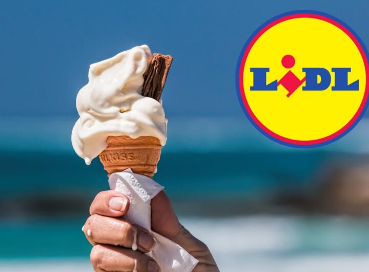 gelati perfetti a 20 euro, LIDL e l'elettrodomestico perfetto per l'estate