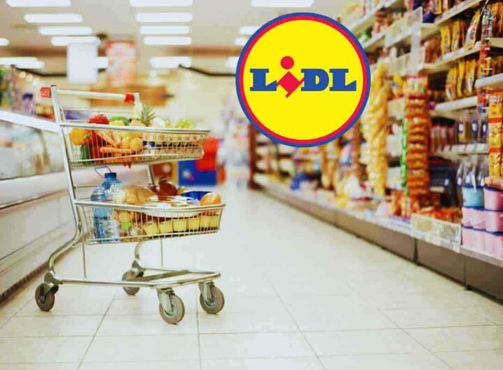 Zero lattosio, zero rinunce: prodotti Lidl in offerta