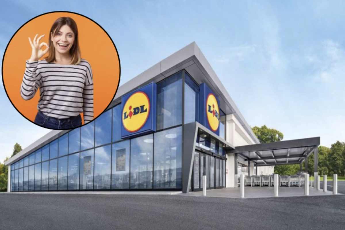 Un’occasione imperdibile per chi desidera portare un angolo di natura dentro casa senza dover investire grandi budget o disporre di spazi ampi.