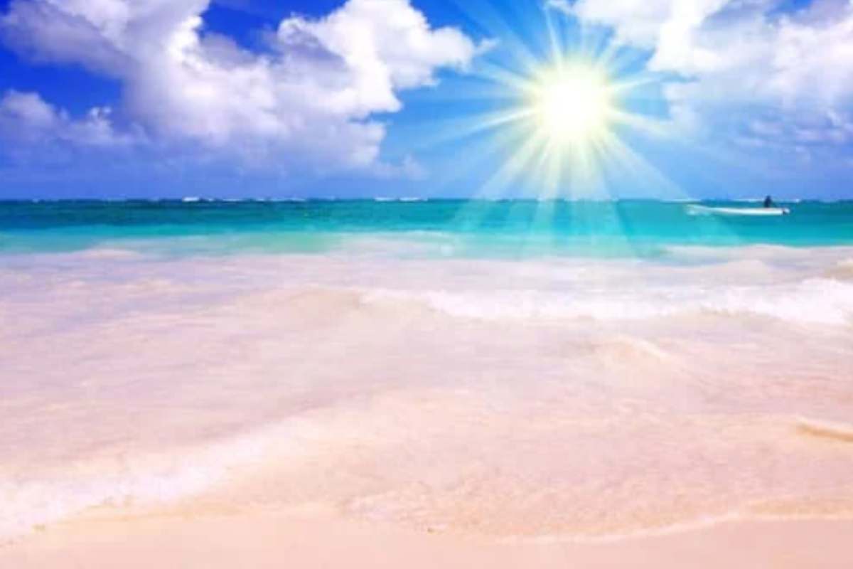 Mare