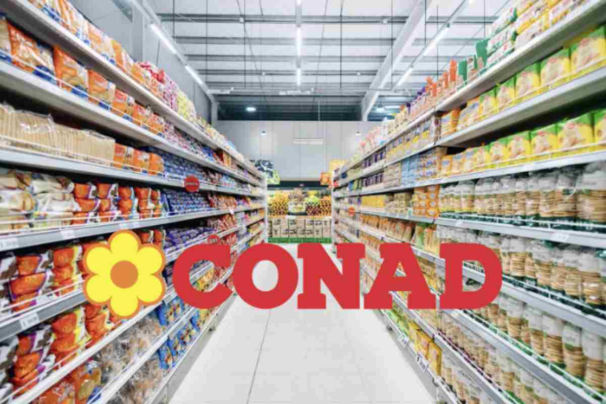 Le fette biscottate Conad rappresentano un chiaro esempio di come sia possibile risparmiare senza scendere a compromessi sulla qualità.