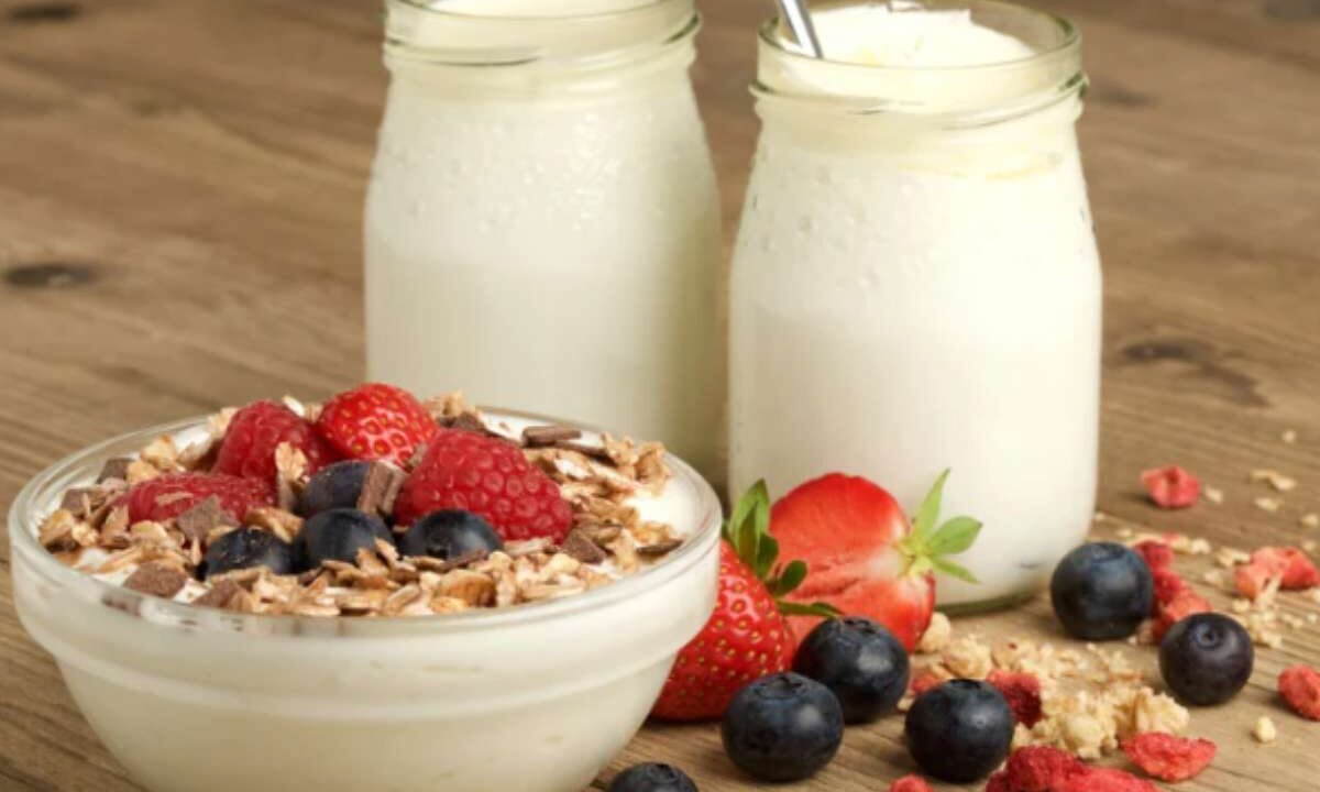 Yogurt