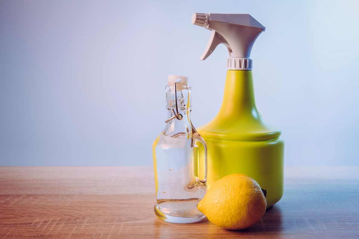 bagno splendente, col rimedio della nonna è una genialata