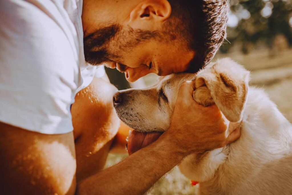 cane adottato e rifiutato