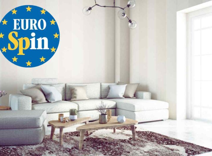 Eurospin vende questo oggetto a 12,99 euro ma per pochissimi giorni