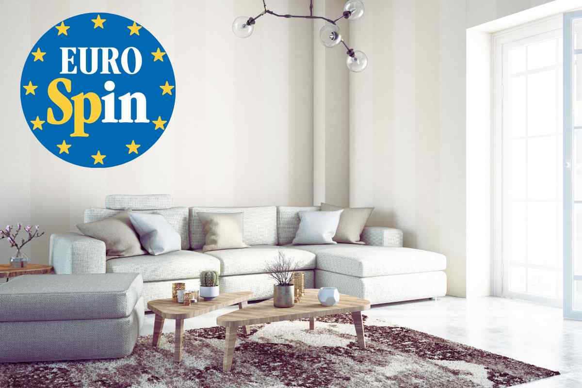 Eurospin vende questo oggetto a 12,99 euro ma per pochissimi giorni