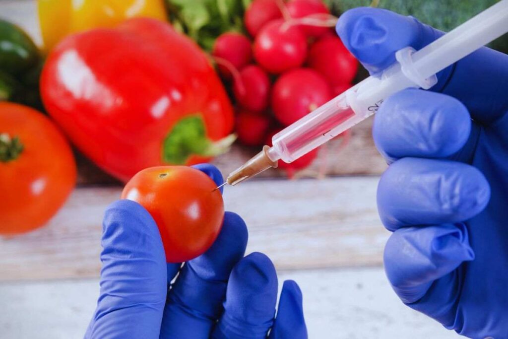 pericolo per il cibo modificato