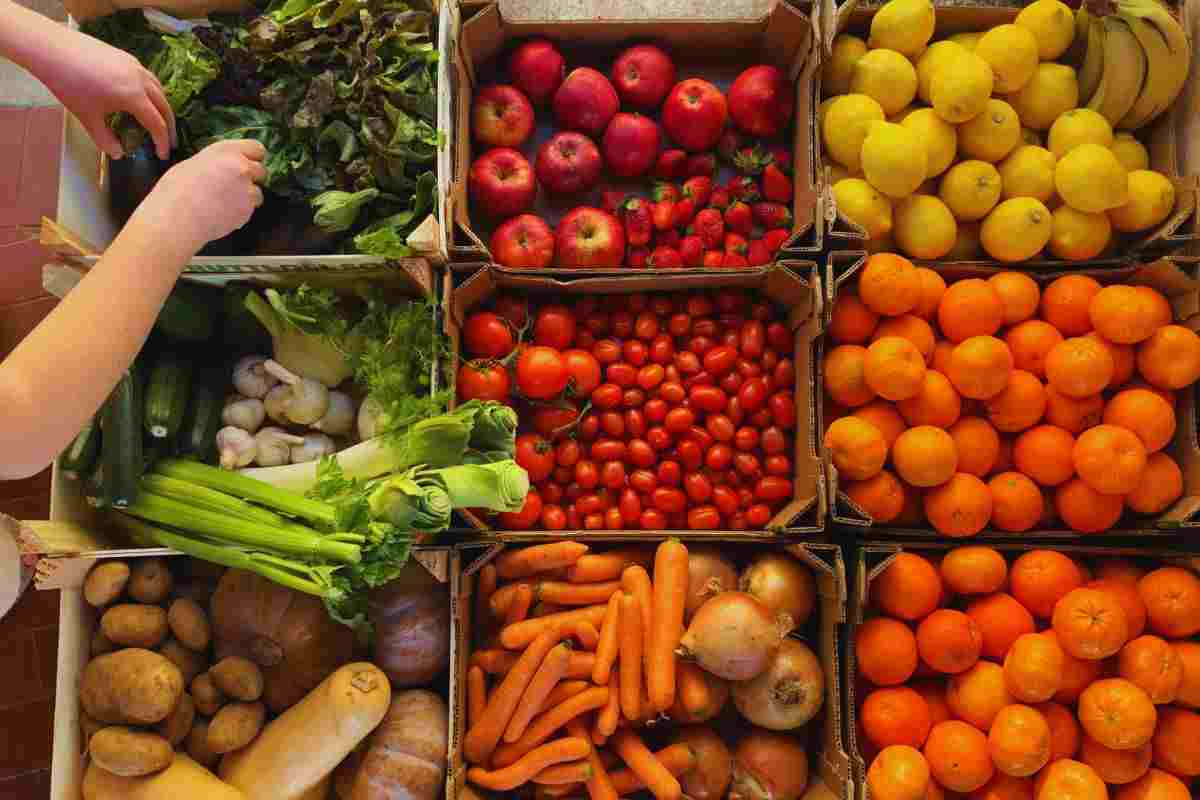 cambiamenti climatici e cibo modificato