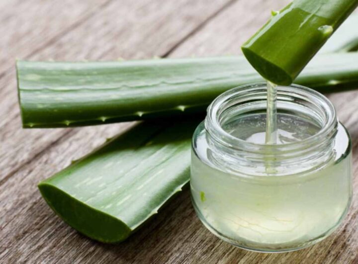 Aloe Vera