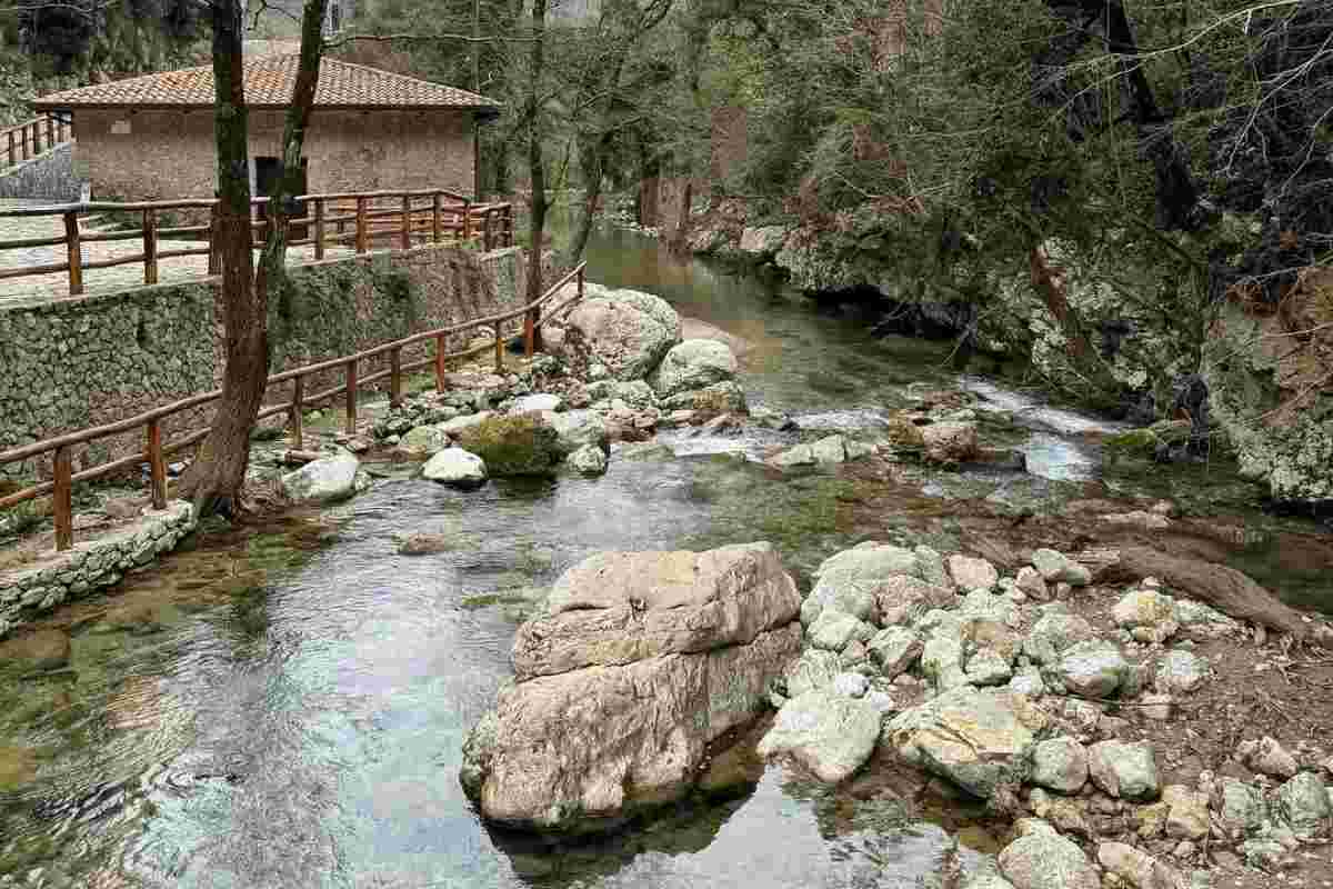 Capelli di Venere Cilento