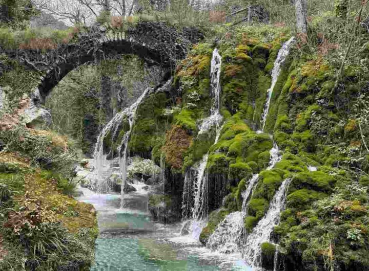 Capelli di Venere Cilento