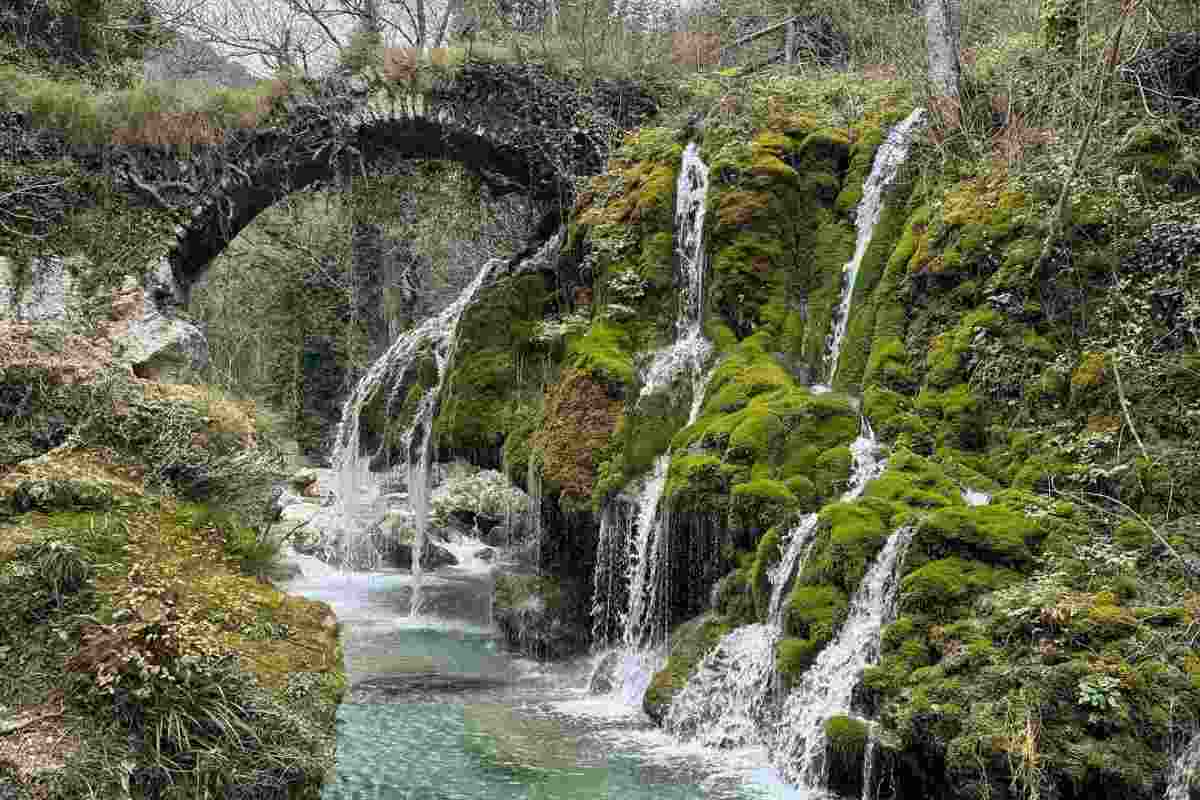 Capelli di Venere Cilento