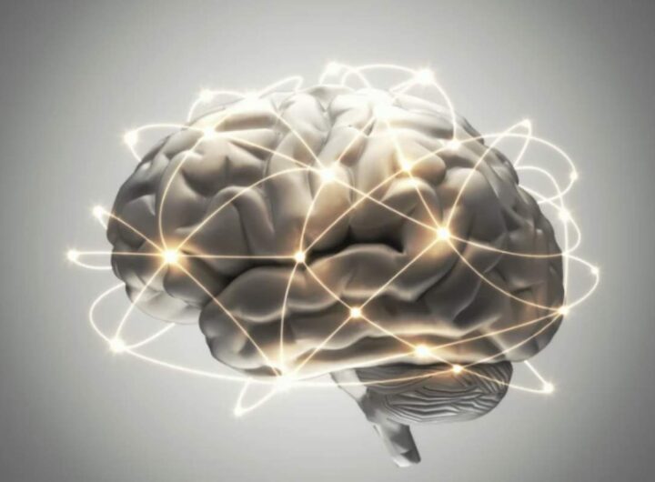 La scienza psicologica moderna ci offre una visione più sfaccettata e realistica: l’intelligenza vera si manifesta in gesti quotidiani