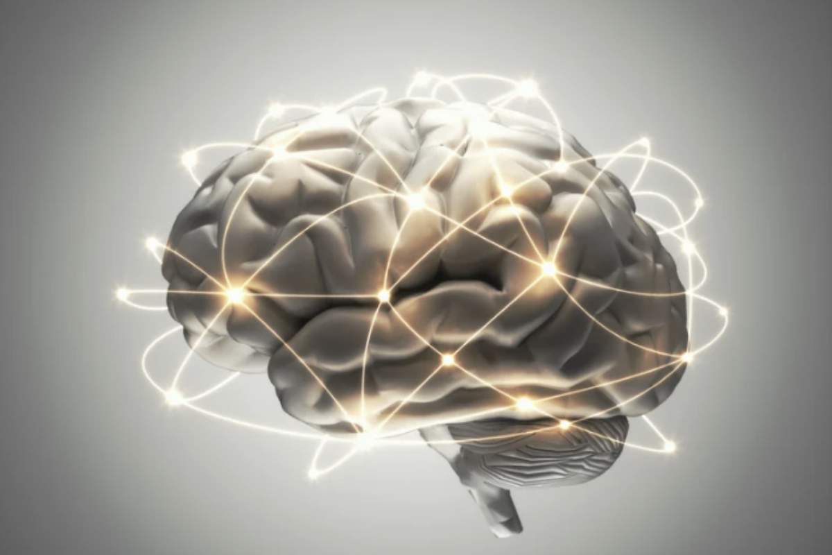 La scienza psicologica moderna ci offre una visione più sfaccettata e realistica: l’intelligenza vera si manifesta in gesti quotidiani