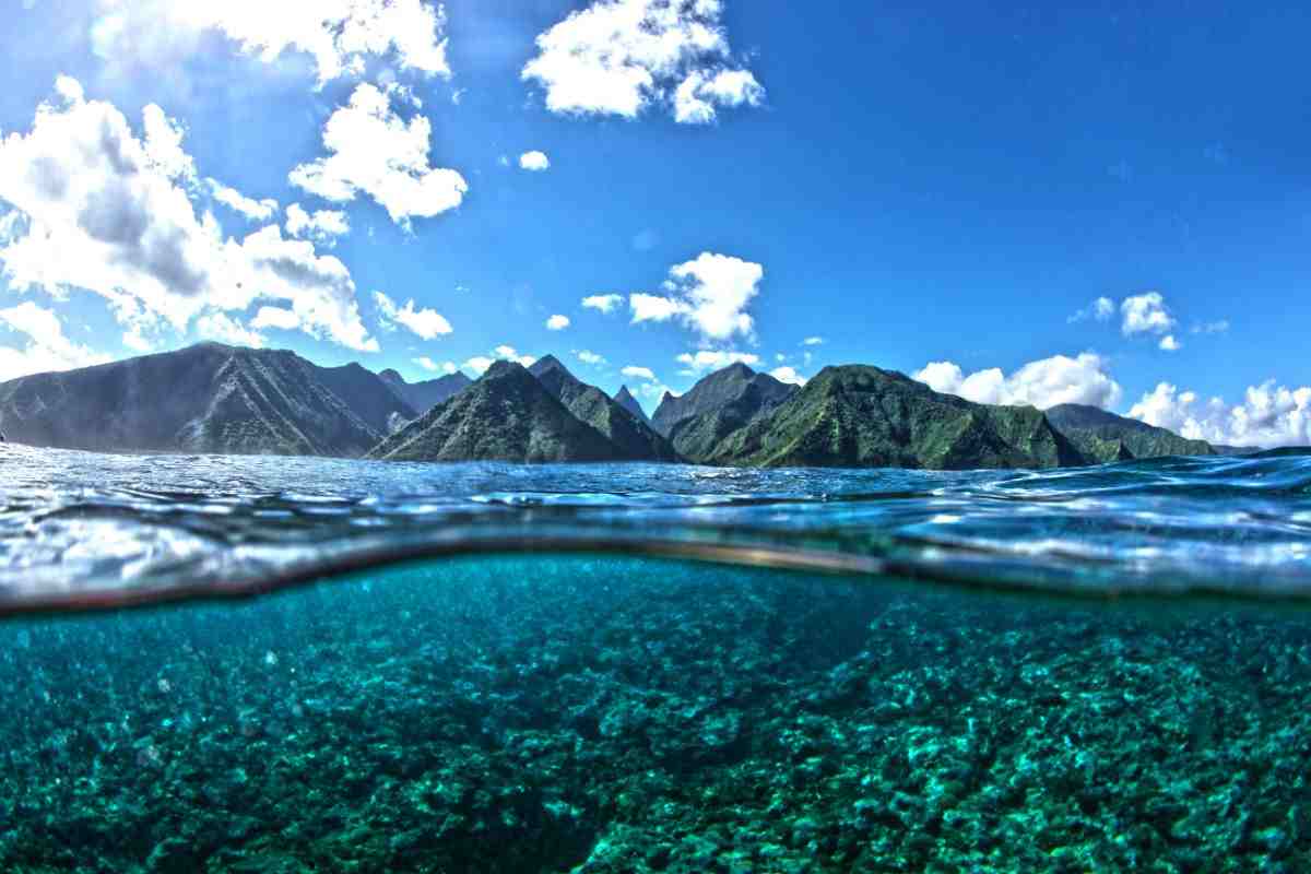 Qual è l'sola più costosa al mondo?