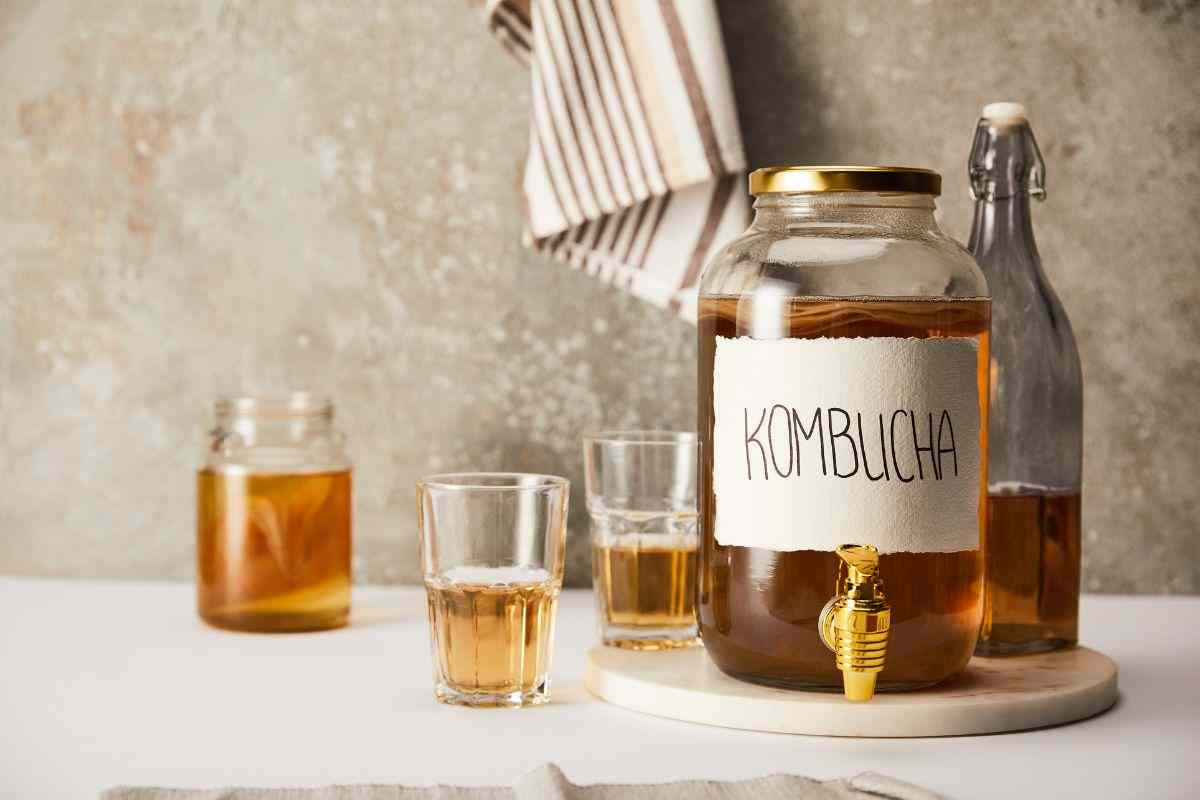 Kombucha elisir giapponese giovinezza