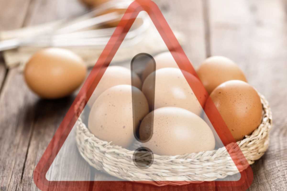 Questa ricerca, pubblicata sulla rivista scientifica Science of The Total Environment, mette in luce un problema di salute pubblica