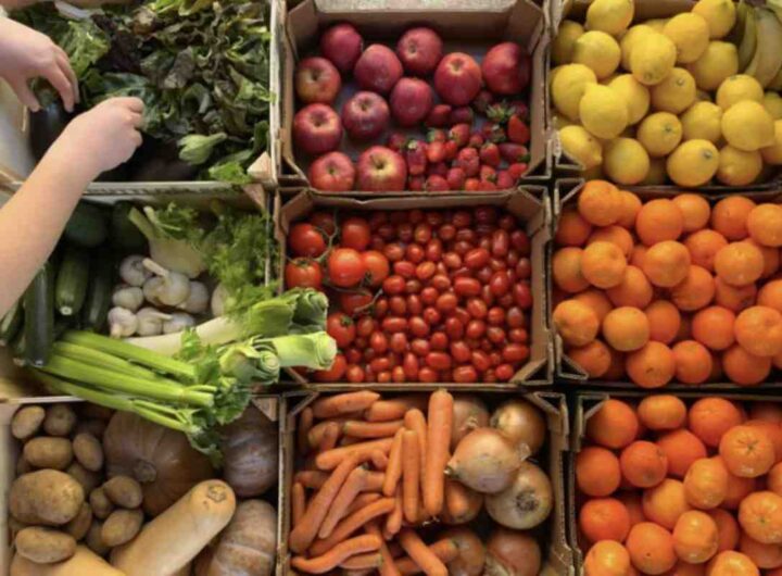 L’analisi, condotta in collaborazione tra Legambiente e Alce Nero, associazione nota per la promozione di prodotti biologici