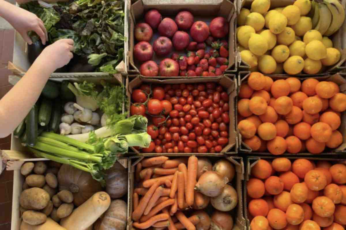 L’analisi, condotta in collaborazione tra Legambiente e Alce Nero, associazione nota per la promozione di prodotti biologici