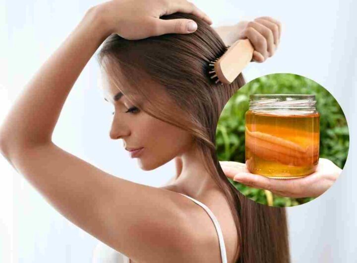 Kombucha elisir giapponese giovinezza