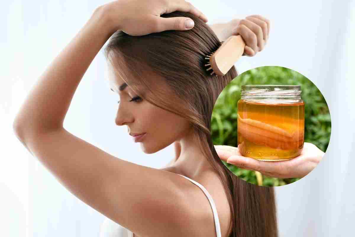 Kombucha elisir giapponese giovinezza