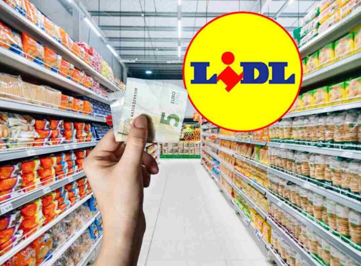 lidl: con meno di 5 euro ti porti a casa un complemento di arredo di alta qualità