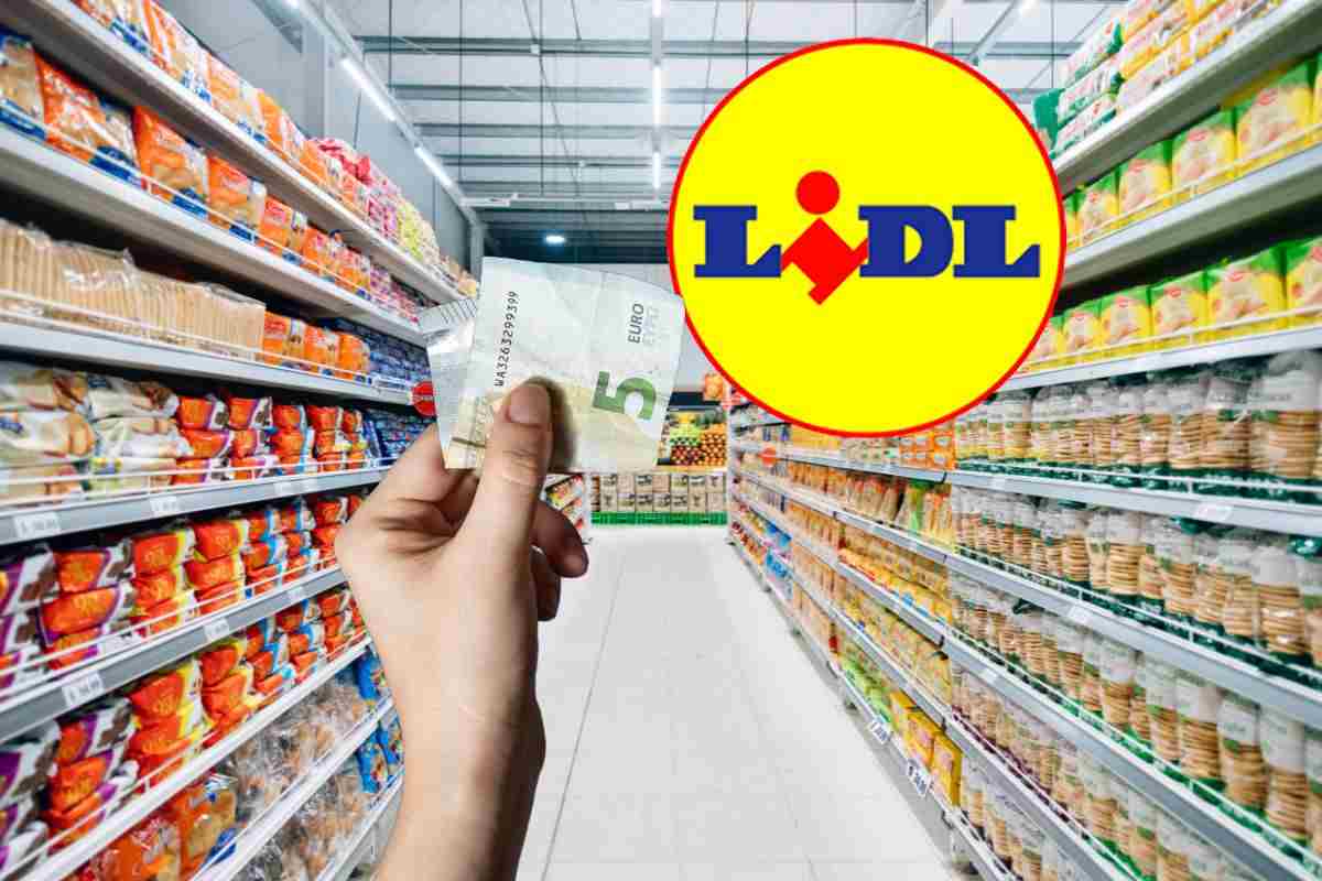 lidl: con meno di 5 euro ti porti a casa un complemento di arredo di alta qualità