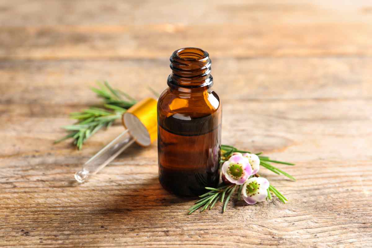 olio essenziale di tea tree
